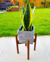 Load image into Gallery viewer, Plant Pot Stand
